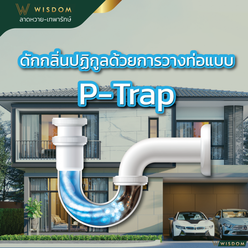 p-trap-chaianan-property